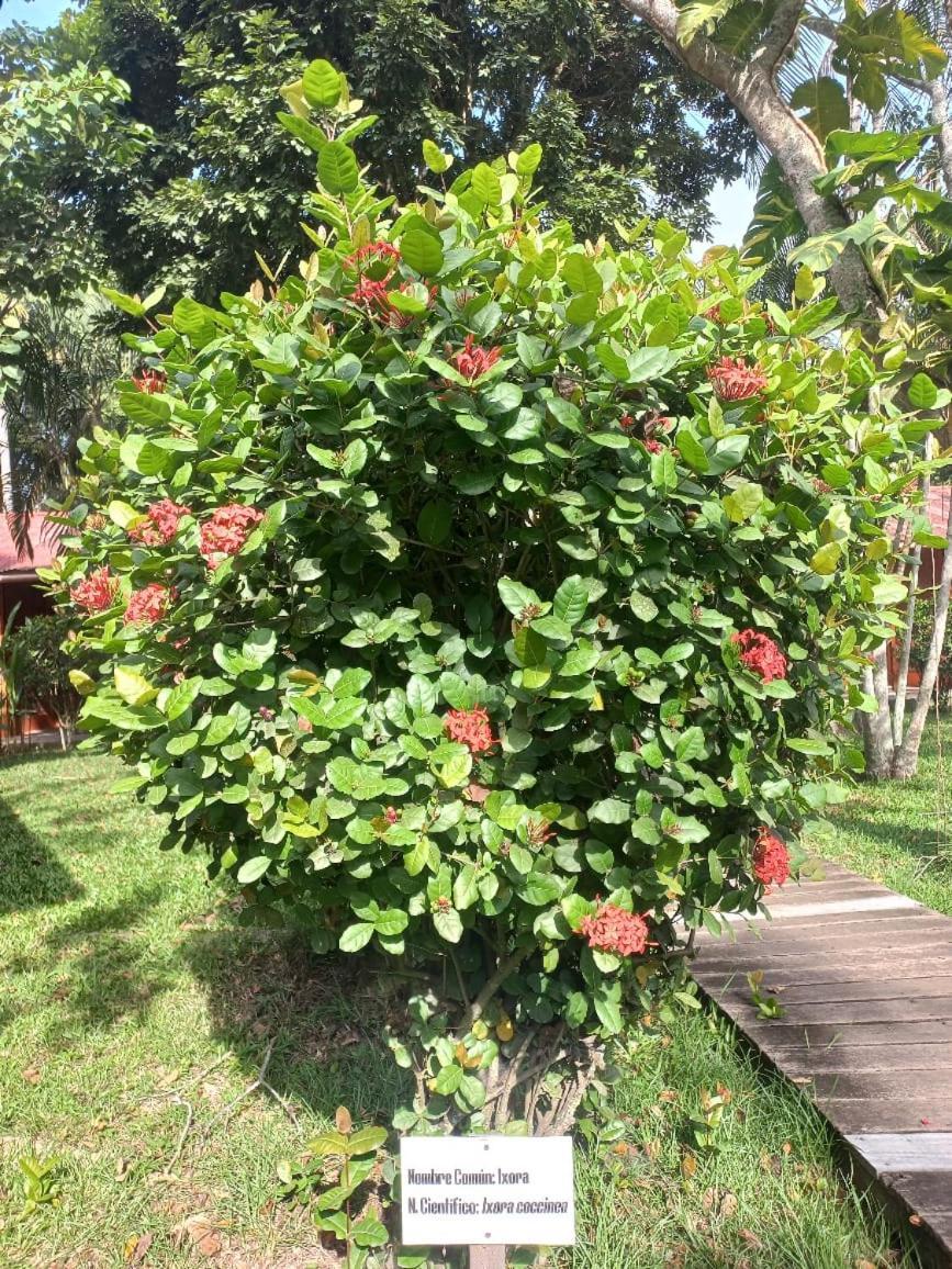 Manish Hotel Ecologico Pucallpa Ngoại thất bức ảnh
